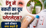 डेंगू में बकरी का दूध पीने से बढ़ती हैं प्लेटलेट्स? जानें डॉक्टर क्या कहते हैं