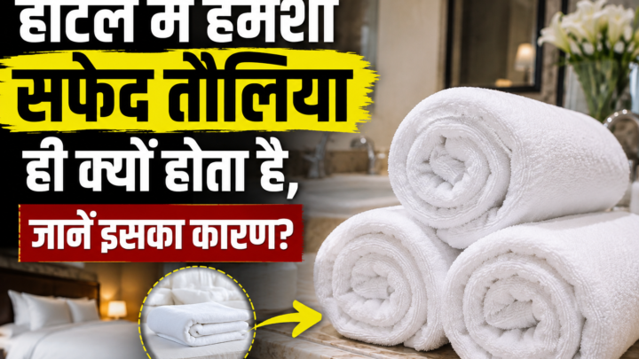 होटल में तौलिए और बेडशीट अक्सर सफेद ही क्यों होते हैं? जानिए इसकी खास वजह