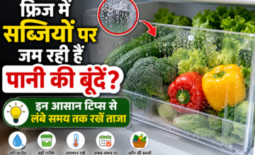 फ्रिज में सब्जियों पर जम रही हैं पानी की बूंदें? इन गलतियों से जल्दी खराब हो सकती हैं सब्जियां