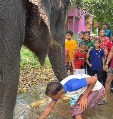 हाथी ने बच्चों पर सूंड से बरसाया पानी, प्यारा वीडियो सोशल मीडिया पर हुआ वायरल