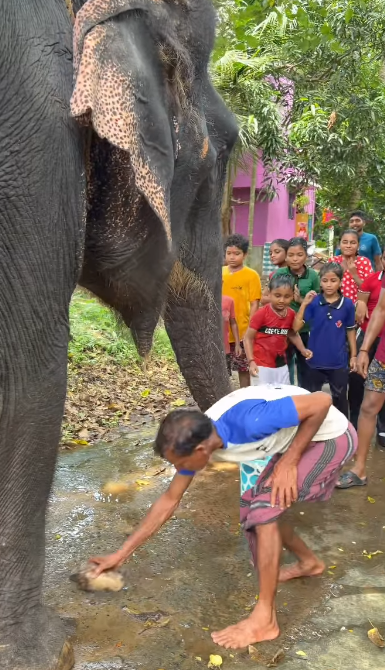हाथी ने बच्चों पर सूंड से बरसाया पानी, प्यारा वीडियो सोशल मीडिया पर हुआ वायरल