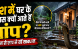 बारिश में घर के आसपास क्यों आते हैं सांप? जानें कौन से सांप से रहें सावधान