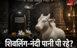 मंदिर में शिवलिंग और नंदी चम्मच से पी रहे पानी? VIDEO ने मचाई हलचल, जानिए पूरा मामला