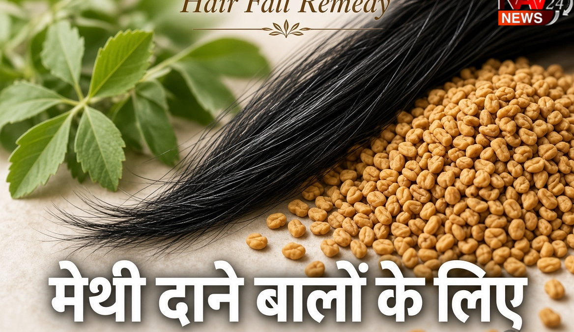 Hair Fall: घर में रखी मेथी के दाने बालों के लिए हो सकते हैं फायदेमंद, जानिए इस्तेमाल का आसान तरीका