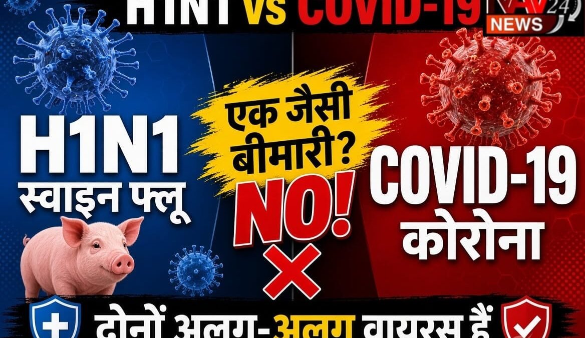Swine Flu H1N1: कोरोना जैसे लक्षणों से न हों परेशान, जानें कैसे फैलता है संक्रमण, कौन ज्यादा खतरे में और बचाव के तरीके