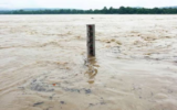 UP-Bihar Flood Alert: यूपी-बिहार में बाढ़ का खतरा, MP में भारी बारिश का अलर्ट; भोपाल में स्कूलों पर भी असर, जानें मौसम का पूरा अपडेट