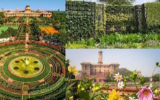 अमृत Udyan 2026: 16 अगस्त से खुला अमृत उद्यान, जानें टाइमिंग और बुकिंग