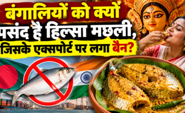 हिल्सा मछली के बिना फीकी पड़ सकती है बंगालियों की थाली, बांग्लादेश ने भारत को निर्यात पर लगाई रोक