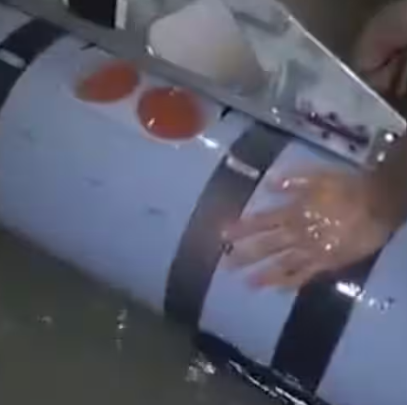 Iran US Underwater Drone: ईरान ने US के Remus 600 पर कब्जे का किया दावा