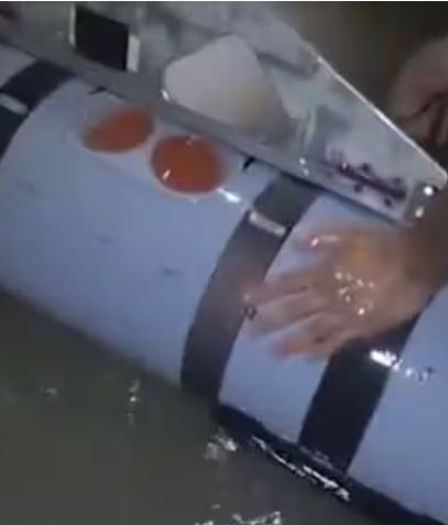 Iran US Underwater Drone: ईरान ने US के Remus 600 पर कब्जे का किया दावा