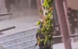 पाकिस्तान में सुरक्षा बलों की बड़ी कार्रवाई, TTP के 10 आतंकवादी ढेर; पुलिस चौकी पर हमले में कांस्टेबल की मौत
